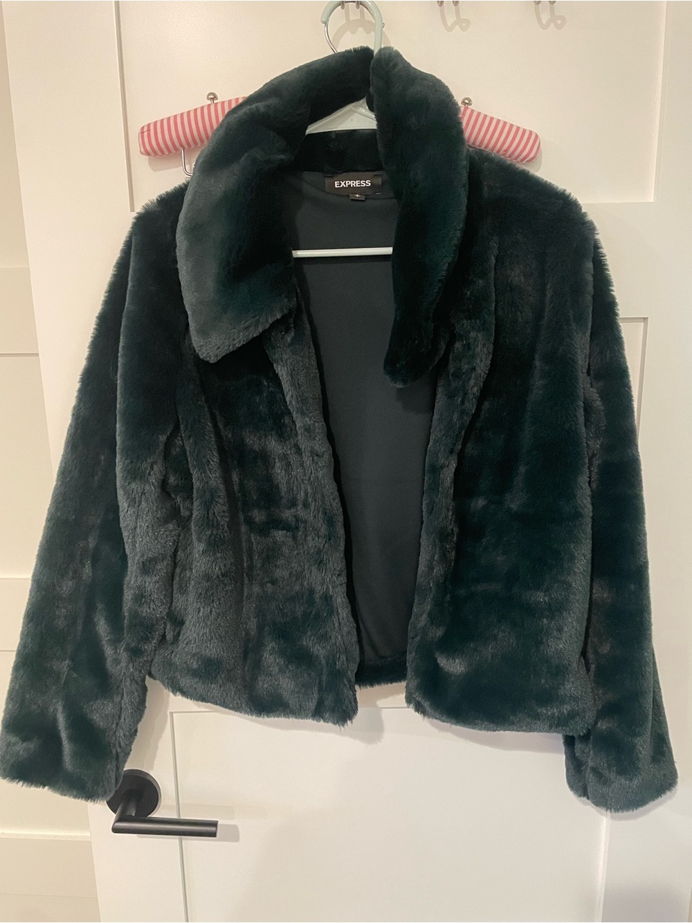 Express Faux Fur Jacket